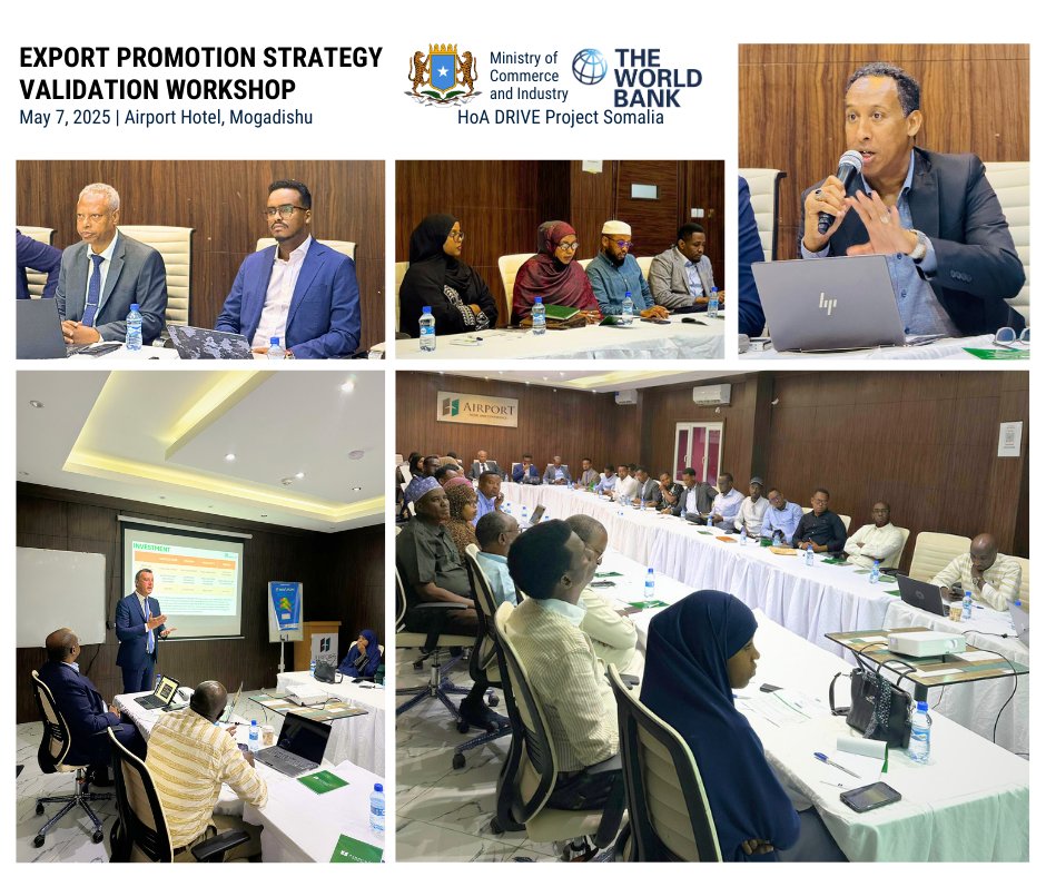 HoA DRIVE Somalia (@drivesom) on Twitter photo Today, <a href="/mocisom/">MoCI Somalia</a>, with #HoADRIVE support, hosted a validation workshop for the draft National Export Promotion Strategy.
Stakeholders gathered to review and refine the roadmap — anchored in livestock, #Somalia’s export mainstay — to diversify offerings, upgrade trade Today, <a href="/mocisom/">MoCI Somalia</a>, with #HoADRIVE support, hosted a validation workshop for the draft National Export Promotion Strategy.
Stakeholders gathered to review and refine the roadmap — anchored in livestock, #Somalia’s export mainstay — to diversify offerings, upgrade trade