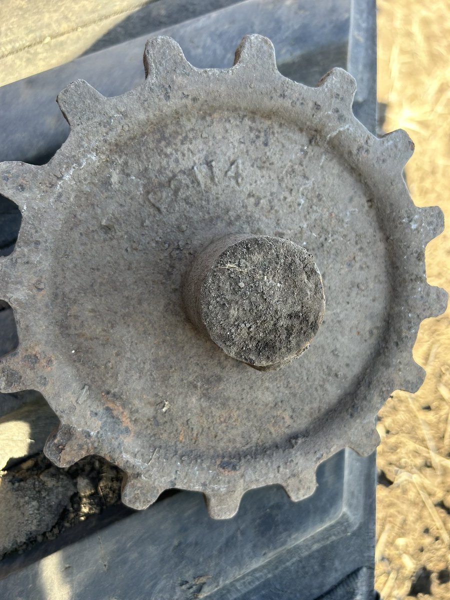 Anyone have an idea what I found?