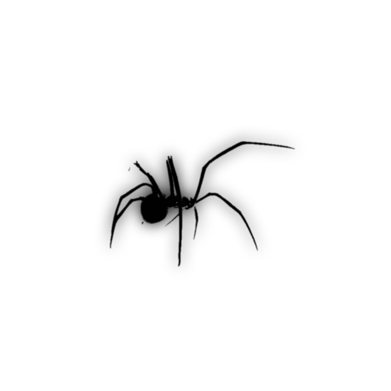 THEINSTRUCT0R's tweet image. 