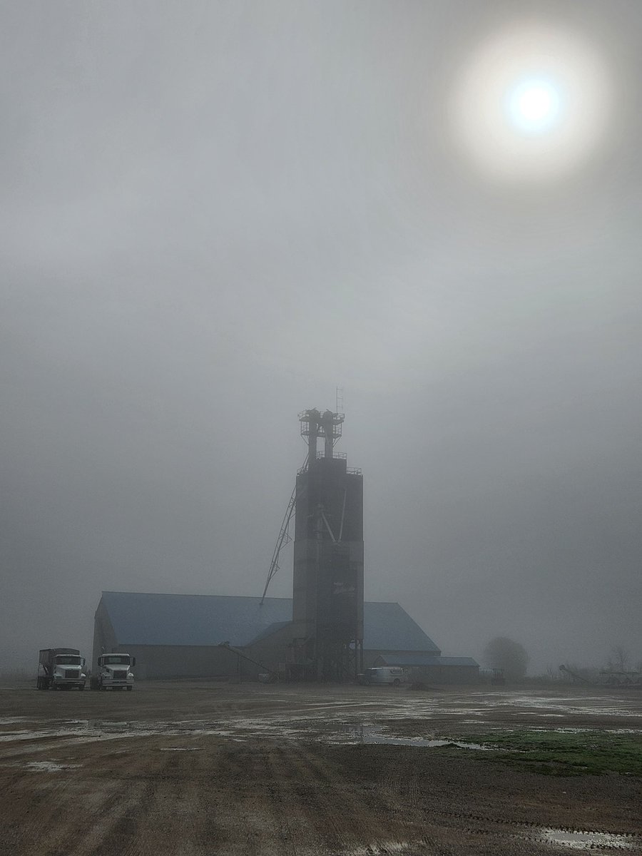 Misty May mornings. #60years