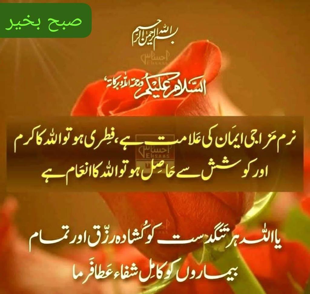 baba tweet media