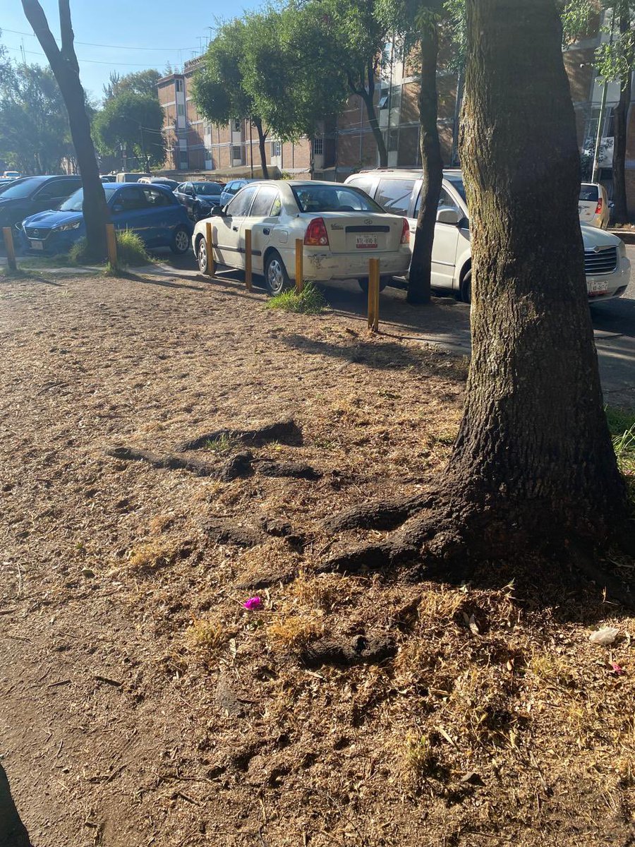 Como no es la Roma la Condesa aquí <a href="/OVIALCDMX/">OVIAL_SSCCDMX</a> <a href="/UCS_GCDMX/">Unidad de Contacto del Secretario SSC CDMX</a> <a href="/TlalpanAl/">Alcaldía Tlalpan</a> no hacen nada, constantemente se ha reportado de malos hábitos viales. Calle cántaro manzana 2 Villa Coapa <a href="/CivicoCoapa/">CoapaCivico</a> <a href="/enrique_cue/">Villa Coapa t ♥</a>