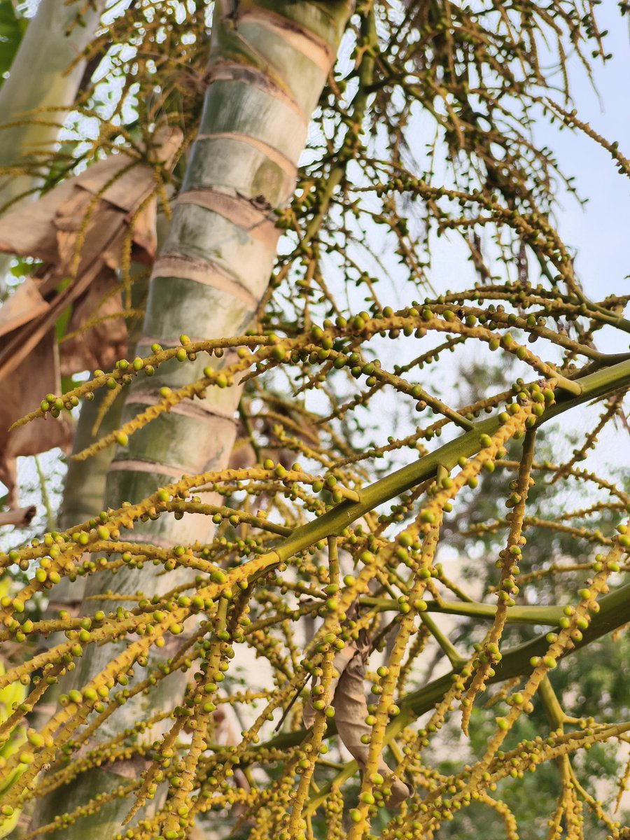 TechWhirl Ultimate tweet media