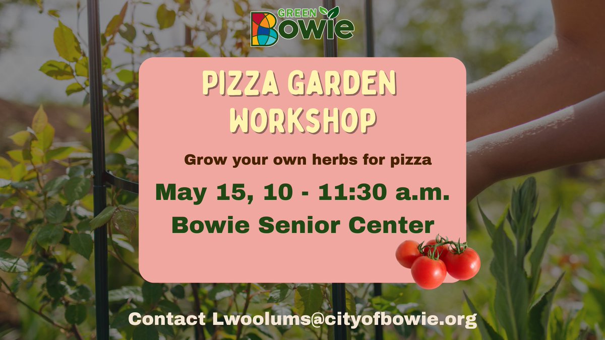 Seniors: love pizza and gardening? Join the Green Team at the Senior Center 5/15 from 10 to 11:30 a.m. for a hands-on workshop where you’ll plant your own mini herb garden—perfect for seasoning your next slice. All supplies provided. Preregister to lwoolums@cityofbowie.org.