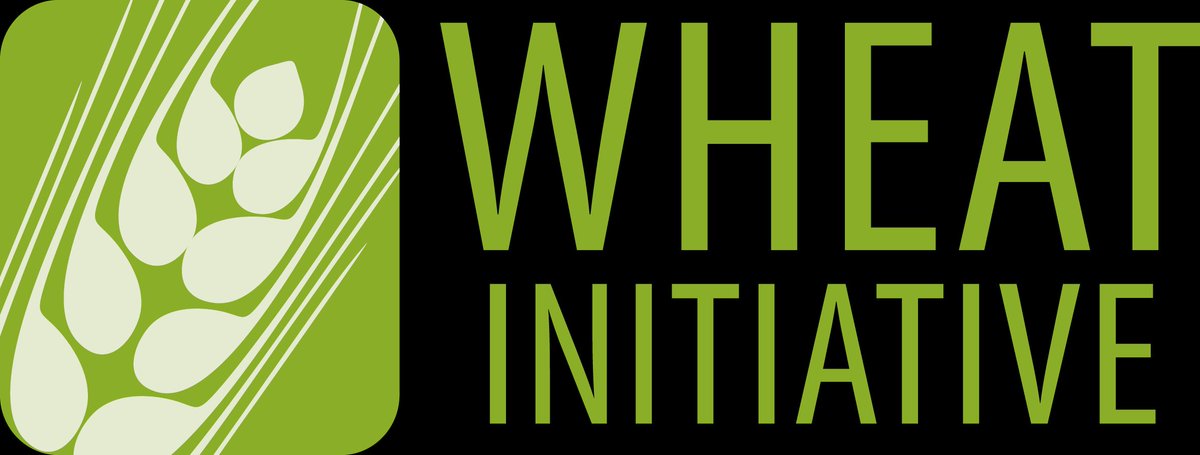 🚨 Travel awards for young wheat researchers! Apply now to attend #FSTP5 in Bari. Info: wheatinitiative.org/durum-ecr-trav…
 #WheatInitiative