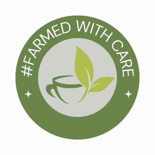 CanadaTea's tweet photo. #InternationalTeaDay is on May 21 &amp; this year the tea community is celebrating the farmers who are behind every cup of tea . 

From the fields where it’s nurtured to the hands that carefully pick each leaf, tea is truly #FarmedWithCare. 🌱🍃 #IPickedYourTea https://t.co/2ReCdablfV