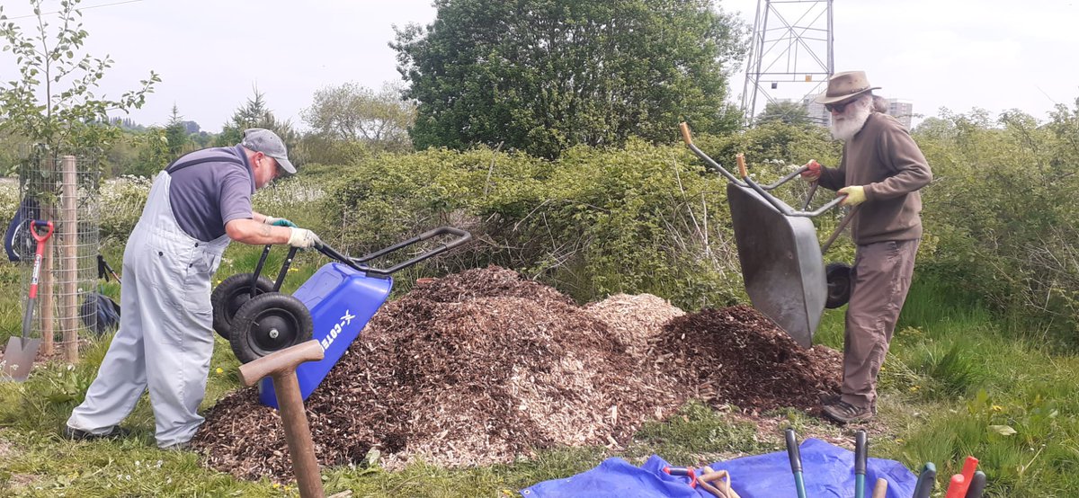 Playing with our woodchip down at #DruidsHeathGreen #ForestGarden this morning. #DruidsHeath