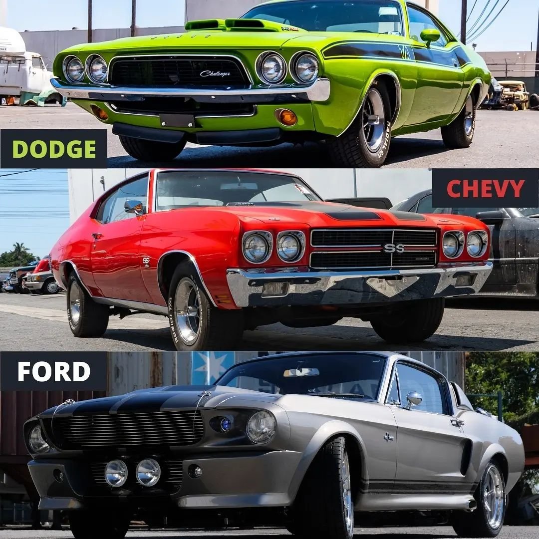 Top , Middle or Bottom 🤔