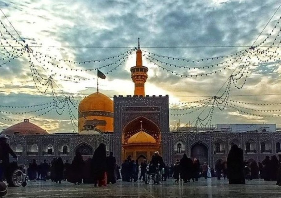 م.ن.حیدر tweet media