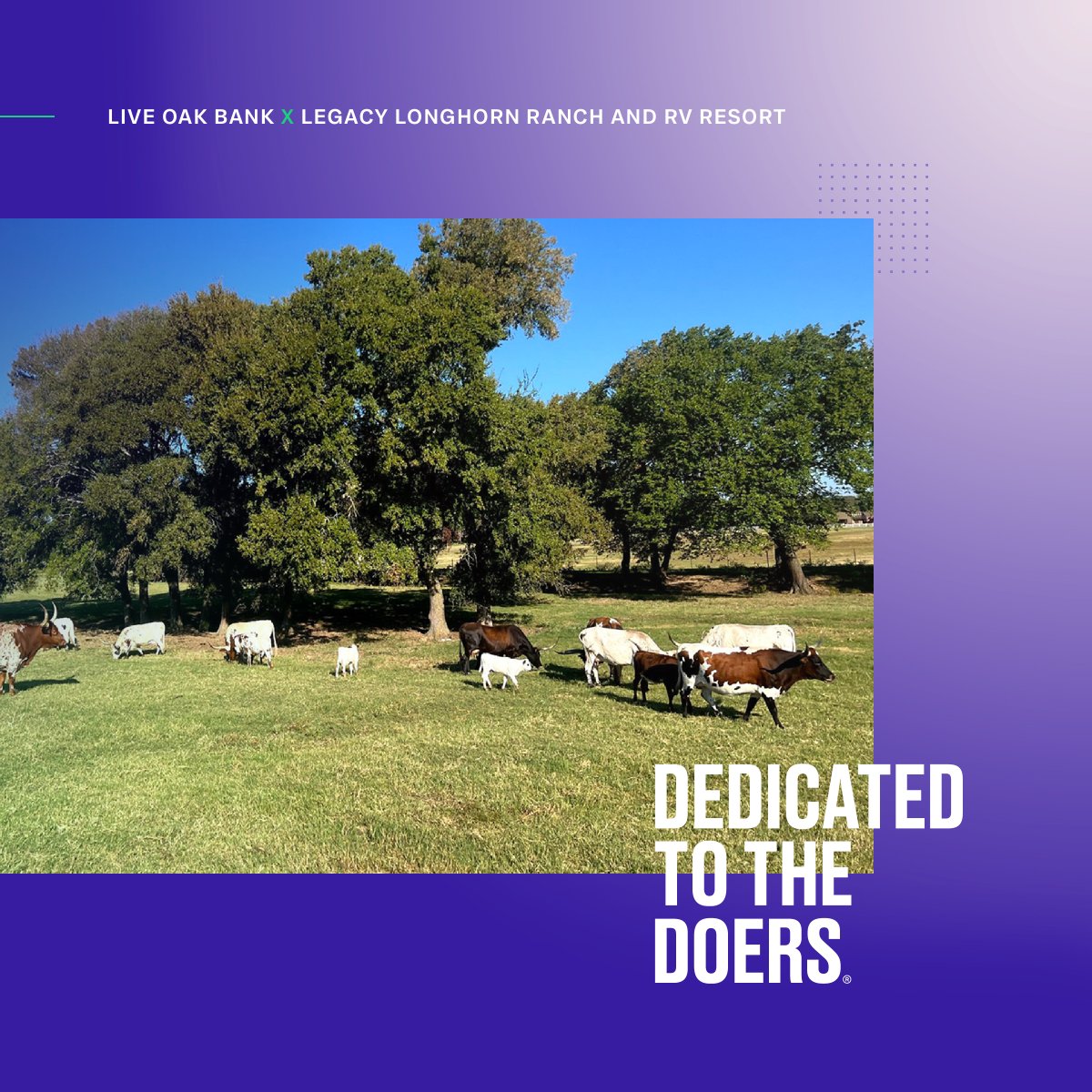 Meet Mary and Gary Lightfoot. These entrepreneurs are delivering exceptional customer service and true Texas charm to every guest who parks under their shady oaks at Legacy Longhorn Ranch and RV Park. We're proud to support savvy entrepreneurs like Mary and Gary, who understand