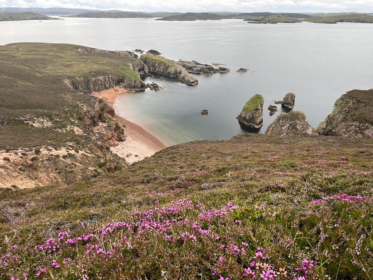 Calling Consultant Anaesthetists with a heart for rural communities! Are you interested in the challenge of generalist anaesthetist practice in the beautiful Shetland Islands? Huge contract flexibility could easily support clinical interests elsewhere.  apply.jobs.scot.nhs.uk/Job/GetJobAdve…