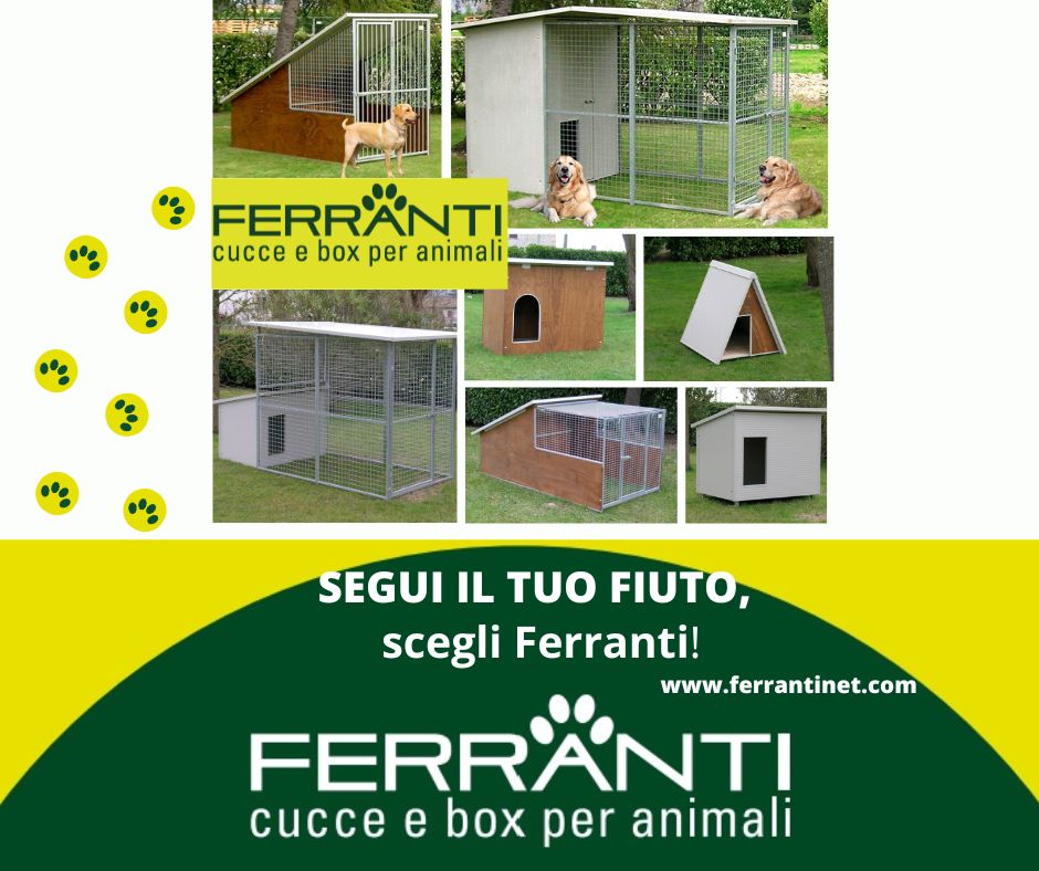 Ferrantinet's tweet image. ferrantinet.com