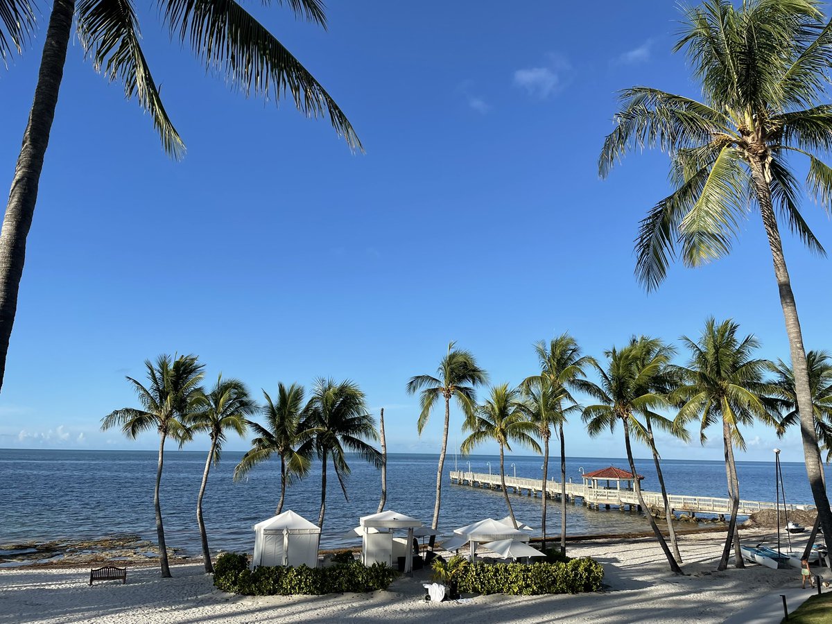 shortprose1's tweet image. #vas365 
#oneliner
#haiku

In silence shadows trace your soul