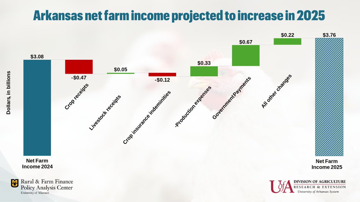 Rural & Farm Finance Policy Analysis Center (RaFF) (@rafffinance) on Twitter photo New from RaFF & <a href="/AginArk/">UA System Div of Ag</a> :
Arkansas net farm income is projected to rise 22% in 2025, reaching $3.76 billion—driven by higher direct government payments.
Crop & farm-related receipts fall, but steady livestock income and lower expenses offer relief.
ruralandfarmfinance.com/farm-income/ New from RaFF & <a href="/AginArk/">UA System Div of Ag</a> :
Arkansas net farm income is projected to rise 22% in 2025, reaching $3.76 billion—driven by higher direct government payments.
Crop & farm-related receipts fall, but steady livestock income and lower expenses offer relief.
ruralandfarmfinance.com/farm-income/