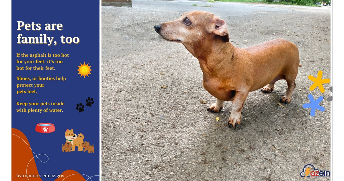 Remember, if the asphalt is too hot for your feet, it's too hot for their feet.
-Dog shoes or booties help protect their feet.
-Keep your pets inside with plenty of water.
-Never leave pets in a car unattended. arcg.is/00jvO4 #HeatAwareness