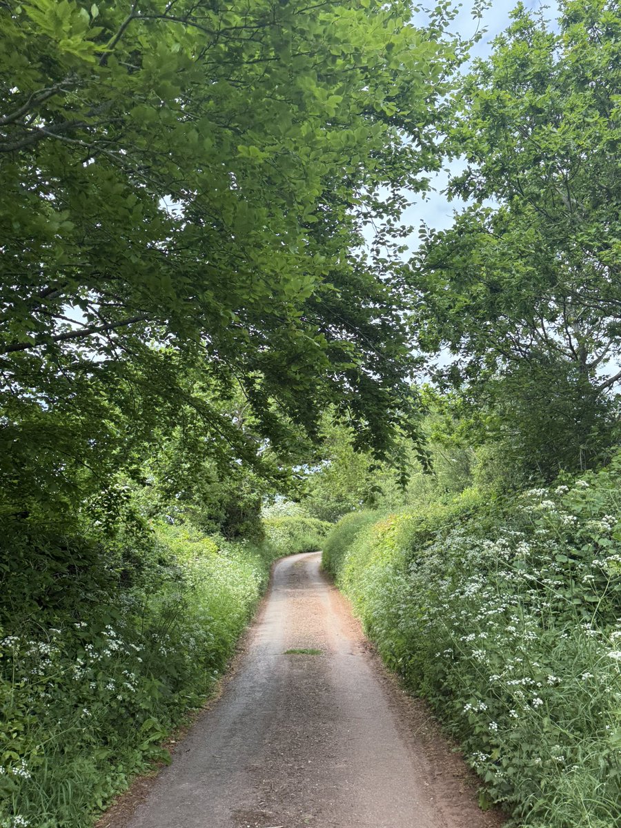 mralexthomas's tweet image. If you’re feeling uninspired stop forcing it.

Go outside. Walk for miles. Breathe like you mean it. Beauty and stillness have a way of healing you.

The best ideas don’t come from scrolling.

They come when you switch off, when you touch grass, when you remember what’s real.…