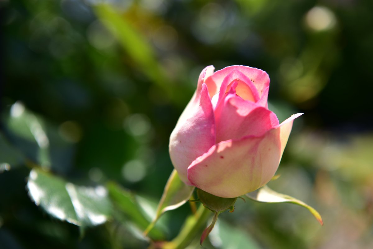 ゴールデンウィーク明けですが、本日からトラウマケアセンター狭山（BTCセンター内）は通常営業しております。
必要とされている方々に、情報と癒しが届きますように。
📷hearts-and-minds.net/about-7
予約ページ
📷coubic.com/btc-center/255…