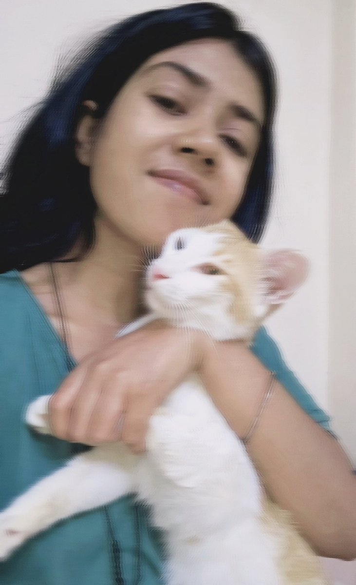 Rashmipal29's tweet photo. Aj ka din bohot dukh bhara rha.Meri Chikkie(cat)ko 8AM se lekar 5:15PM tak labour pain ho rahe,or usne 5 premature bachon ko janam dia,but wo survive nahi kar paye.Dil bohot dukhi hai,par usne apna best diy.💔 #motherhood #catlover
#lovefighters #FirstPregnancy #Heartbroken https://t.co/CHMoOlBcWG