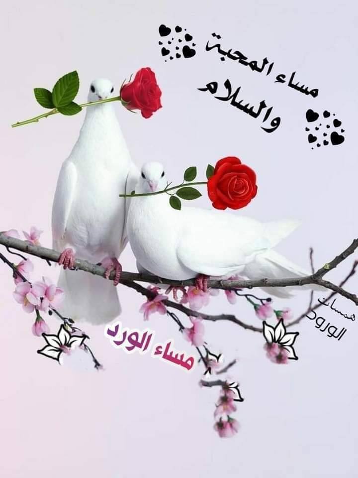 نكتب أحيانا عن حكايات
لا تنبض إلا على الأوراق
وهي في داخلنا أحلام
أيقظتها خيبات الحياة 
كما يفعل بائع الورد للعاشقين مبتسماً
وفي يديه جروح صنعتها الأشواك...

....🌼🪄