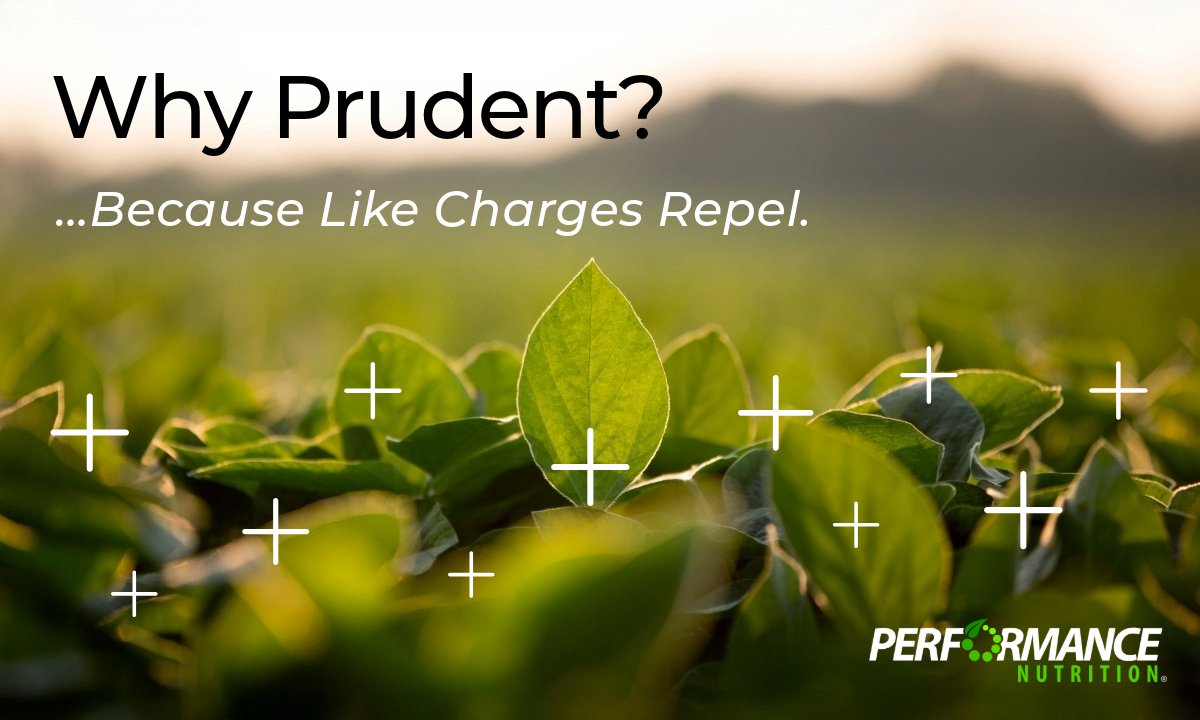 PERFORMANCE NUTRITION AG 🌾 tweet media