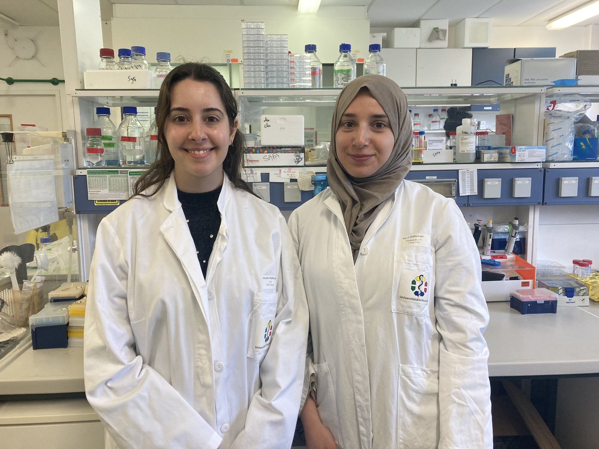 Silvia Vega-Rubín-de-Celis (@vega_rubin) on Twitter photo We welcome María from the <a href="/AUSISgroup/">AU•SIS: Autophagy & Autosis</a> group for her 3-month stay with us, and welcome back <a href="/SafaLarafa/">Safa Larafa 🦋🌸</a> from her stay with <a href="/AlvFdezFdez_PhD/">Álvaro F. Fernández</a> group. Amazing new research is underway thanks to funds from DFG, <a href="/EUErasmusPlus/">Erasmus+</a> and <a href="/DKTK_/">VomLaborInDiePraxis</a>
<a href="/WAutophagy/">Women in Autophagy</a>
<a href="/SEFAGIA_/">SEFAGIA (Sociedad Española de Autofagia)</a> <a href="/unidue/">Uni Duisburg-Essen @unidue.bsky.social</a> <a href="/UniklinikEssen/">Uniklinikum Essen</a> We welcome María from the <a href="/AUSISgroup/">AU•SIS: Autophagy & Autosis</a> group for her 3-month stay with us, and welcome back <a href="/SafaLarafa/">Safa Larafa 🦋🌸</a> from her stay with <a href="/AlvFdezFdez_PhD/">Álvaro F. Fernández</a> group. Amazing new research is underway thanks to funds from DFG, <a href="/EUErasmusPlus/">Erasmus+</a> and <a href="/DKTK_/">VomLaborInDiePraxis</a>
<a href="/WAutophagy/">Women in Autophagy</a>
<a href="/SEFAGIA_/">SEFAGIA (Sociedad Española de Autofagia)</a> <a href="/unidue/">Uni Duisburg-Essen @unidue.bsky.social</a> <a href="/UniklinikEssen/">Uniklinikum Essen</a>