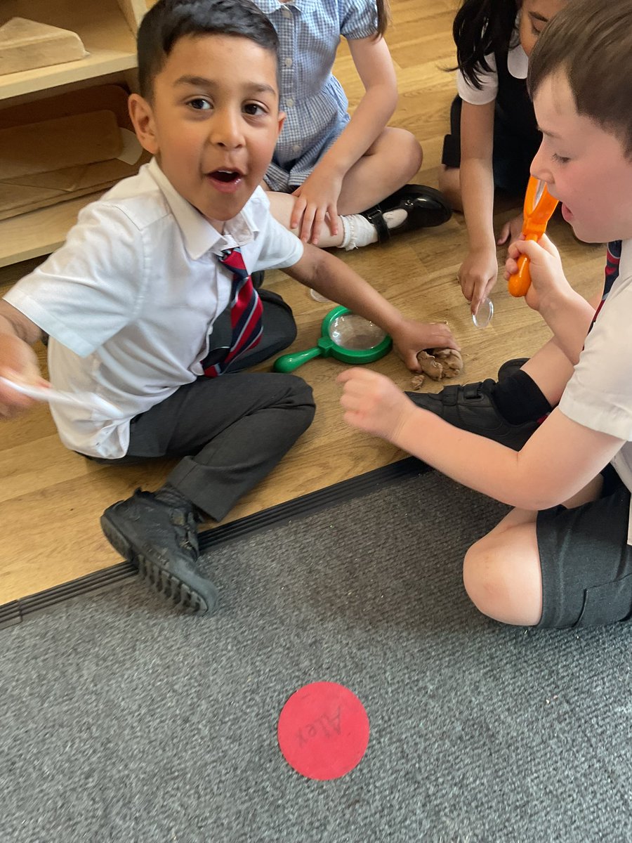 Unsworth Primary tweet media