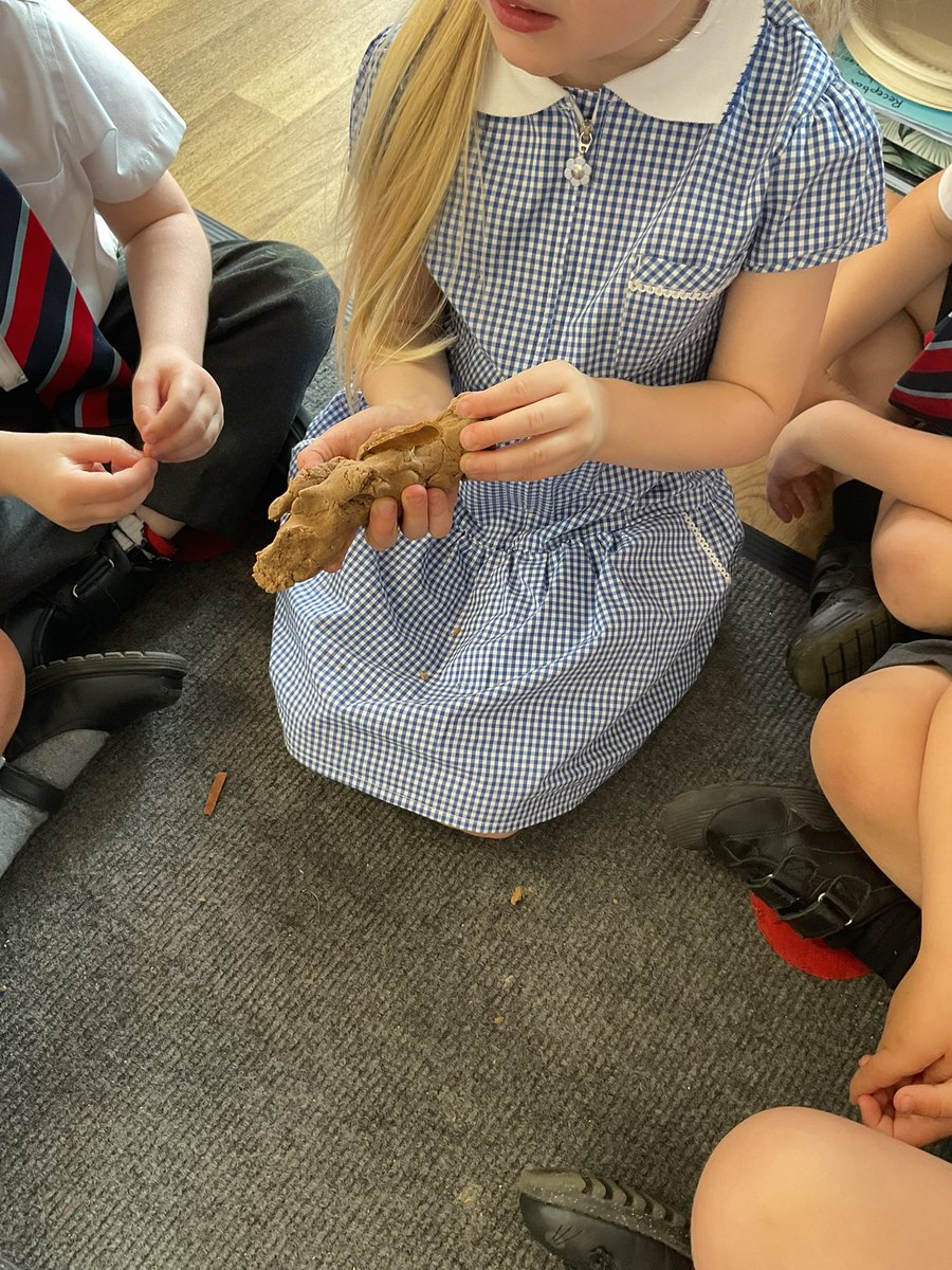 Unsworth Primary (@unsworthprimary) on Twitter photo This afternoon Reception have been POO ๐ต๏ธ detectives. Reception have been learning all about animals and what they eat. We introduced new vocabulary such as carnivore and omnivore. <a href="/Cornerstonesedu/">Cornerstones Education</a> This afternoon Reception have been POO ๐ต๏ธ detectives. Reception have been learning all about animals and what they eat. We introduced new vocabulary such as carnivore and omnivore. <a href="/Cornerstonesedu/">Cornerstones Education</a>