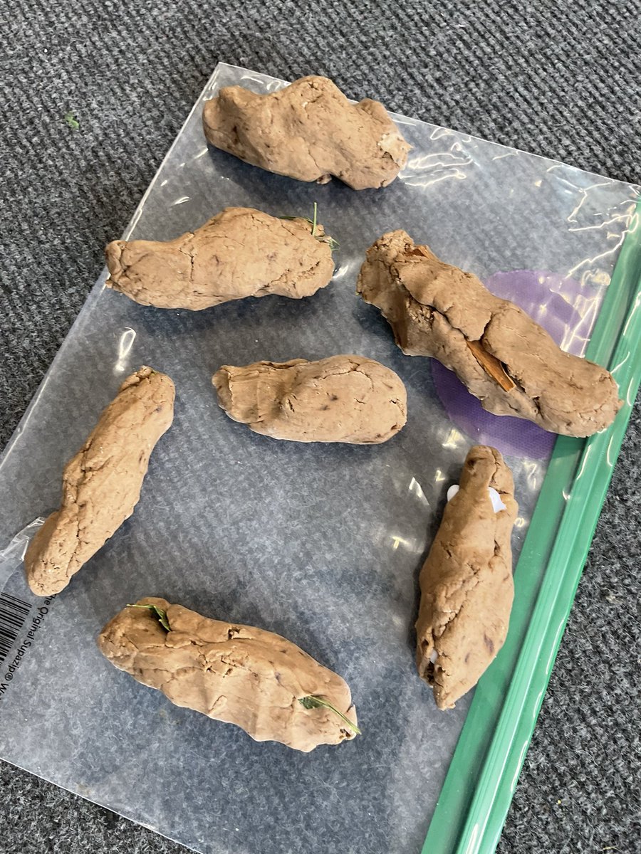 Unsworth Primary tweet media