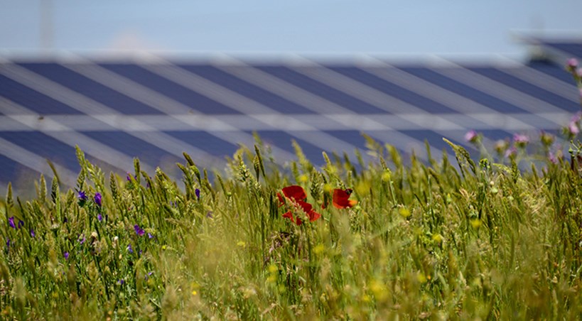 BayWa's renewables division has received three planning permissions for solar farms in the UK. renews.biz/100447/ #solarpower #UK #regulation