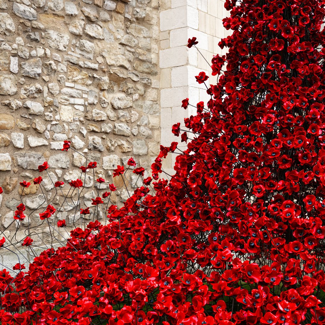 BFBSRadioHQ's tweet image. The @TowerOfLondon, dressed in poppies for #VEDay80🌹