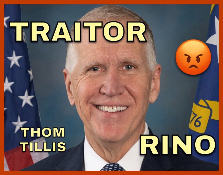 Senator Tillis , North Carolina has announced his opposition to the President Trump nominee Ed Martin for U.S. Attorney for Dictrict of Columbia. 
Vote Tillis out in primary election.