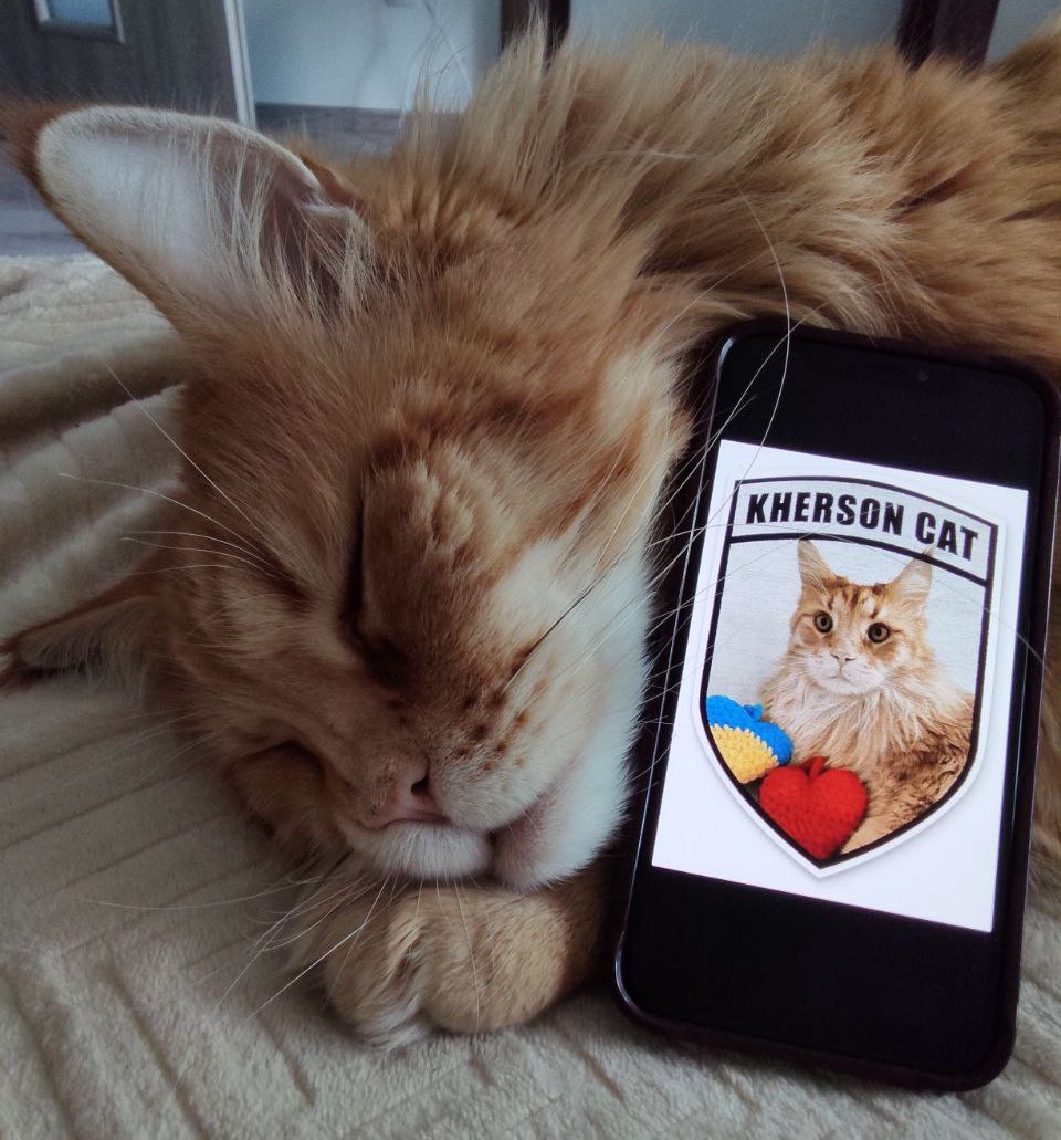 Special Kherson Cat ๐๐บ๐ฆ (@bayraktar_1love) on Twitter photo ๐๐บ๐ฆ โฌ22,290 Raised, in joint campaign with <a href="/69thSB/">NAFO 69th Sniffing Brigade</a>, โ Thatโs more than a third of the way
โก๏ธCampaign link: help99.co/patches/speciaโฆ
Hereโs what weโre working toward together:
โข ๐ Pickup โ 242nd Battalion, 241st TDF
โข ๐ Pickup โ 2nd Mech, 3rd Assault Brigade
โข ๐ธ 40 ๐๐บ๐ฆ โฌ22,290 Raised, in joint campaign with <a href="/69thSB/">NAFO 69th Sniffing Brigade</a>, โ Thatโs more than a third of the way
โก๏ธCampaign link: help99.co/patches/speciaโฆ
Hereโs what weโre working toward together:
โข ๐ Pickup โ 242nd Battalion, 241st TDF
โข ๐ Pickup โ 2nd Mech, 3rd Assault Brigade
โข ๐ธ 40