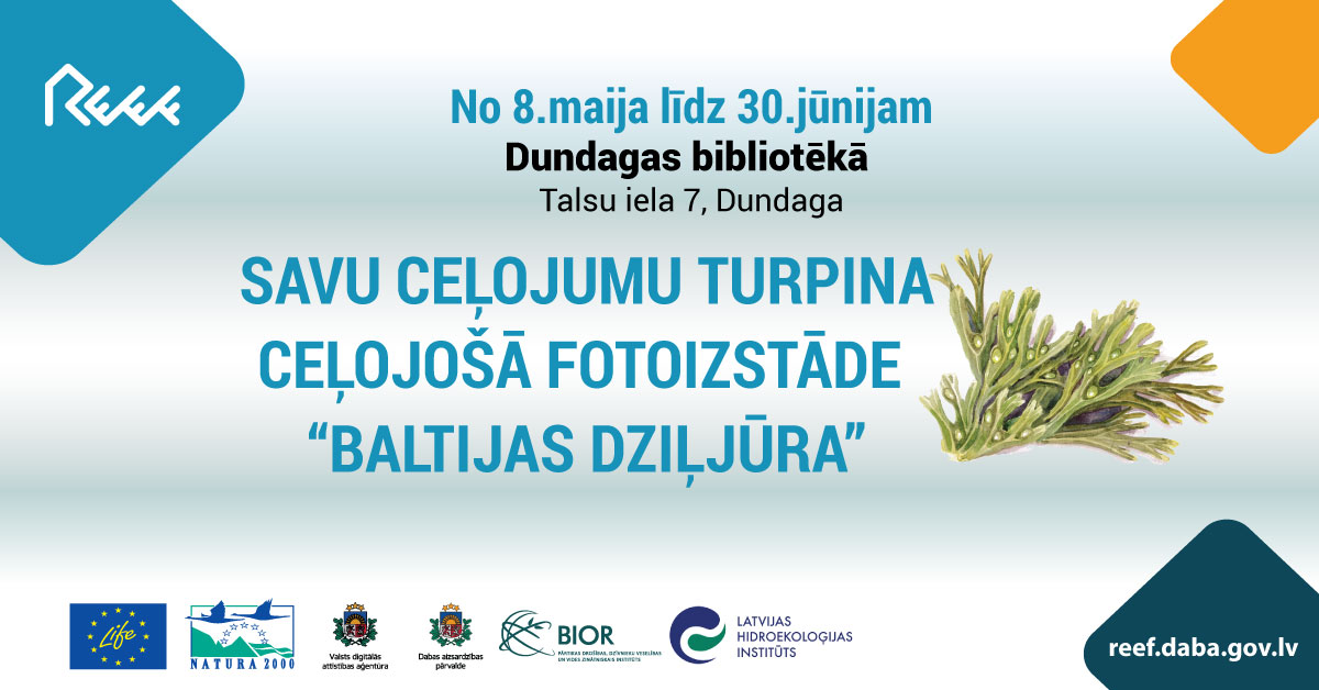 ProjektsReef's tweet image. 