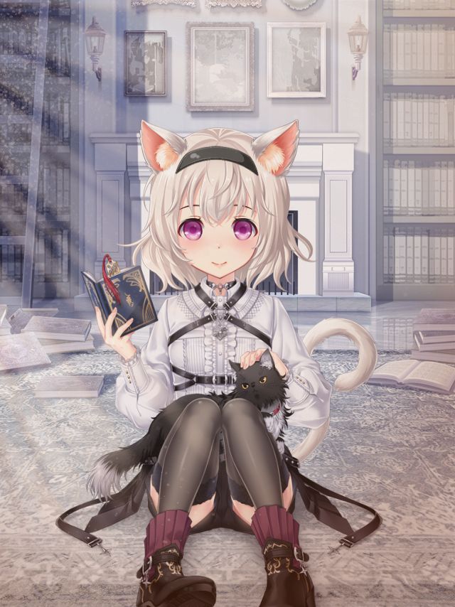 Necrophos_User's tweet photo. #Girlfriend
【Invite ID】195530928791
【URL】https://t.co/QMtna52p0A https://t.co/nFU9AIHw5E