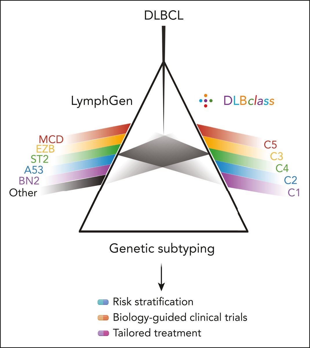 The discovery of genetic subtypes of DLBCL is a major advance in taming the molecular heterogeneity of DLBCL, which otherwise acts as a barrier to precision medicine. ow.ly/qqrQ50VLFOZ #lymphoidneoplasia