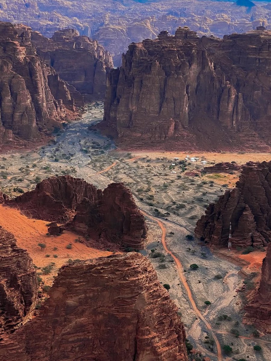 محمية الأمير محمد بن سلمان الملكية 
- الديسة .