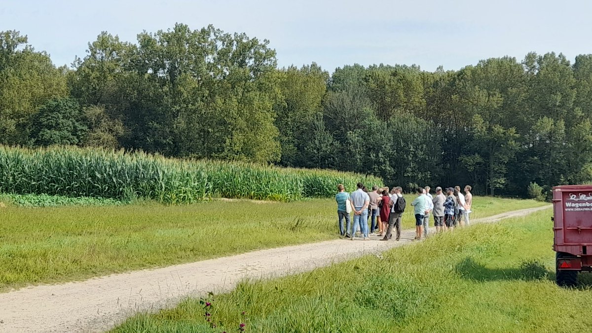 🌱 Join us for an afternoon on circular fertilisers!
Insights on ammonium-loaded zeolites, RENURE, insect manure &amp; struvite + a field trial visit.

🕜 1:30 PM start | 🚜 3:15 PM field visit | 🍹 4 PM drinks

#CircularFertilizers #SustainableAg #AgTech

soilutions-project.eu/event/trial-fi…