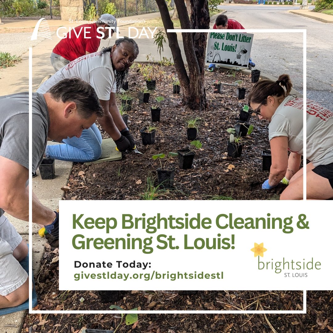 It’s #GiveSTLDay! Thanks to volunteers and donors, gifts to Brightside become native plants that benefit both people and pollinators. All donations will be matched up to $5,000 thanks to the William A. Kerr Foundation. 

Donate here: givestlday.org/brightsidestl