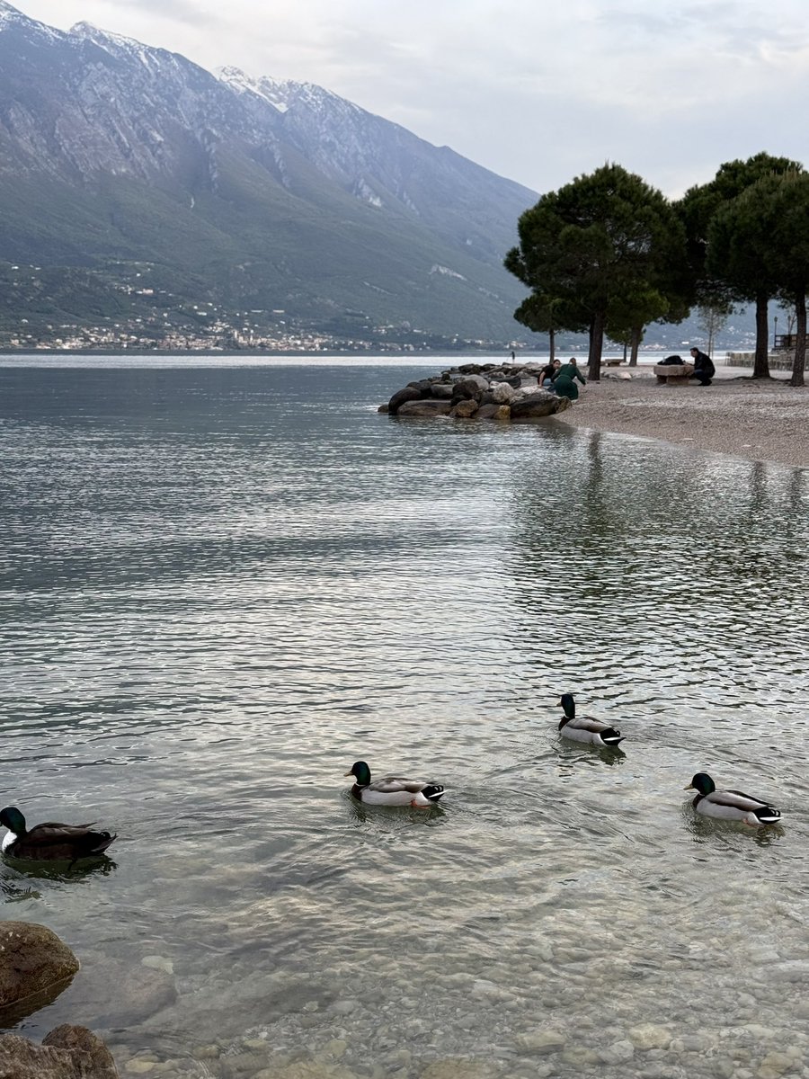 ربَّنا آتِنا ما نُحبّ عَلى الوجهِ الّذي تُحبّ 🍃🤍