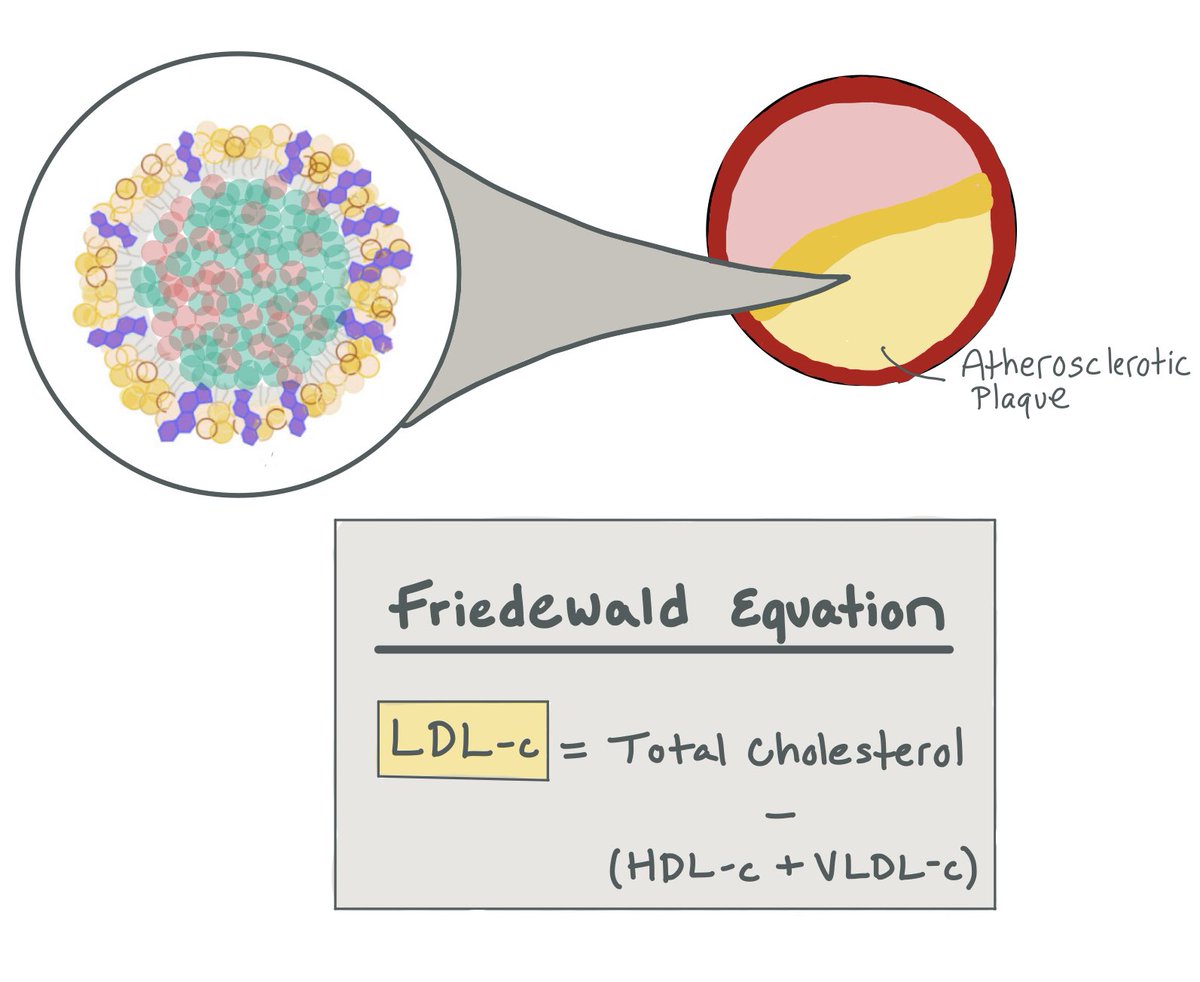 Rebecca Garber (@bexg_md) on Twitter photo New chapter drop! Everything you need to know about lipids in primary and secondary prevention!
whenthebeatdrops.org/content/lipids
<a href="/StephDwyer21/">Stephanie Dwyer Kaluzna</a> <a href="/avi_aronov/">Avi Aronov</a> New chapter drop! Everything you need to know about lipids in primary and secondary prevention!
whenthebeatdrops.org/content/lipids
<a href="/StephDwyer21/">Stephanie Dwyer Kaluzna</a> <a href="/avi_aronov/">Avi Aronov</a>