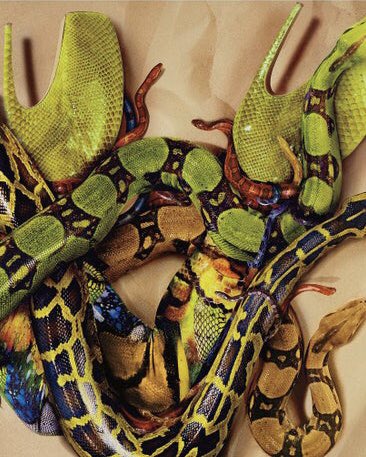 alexander mcqueen, s/s ‘10