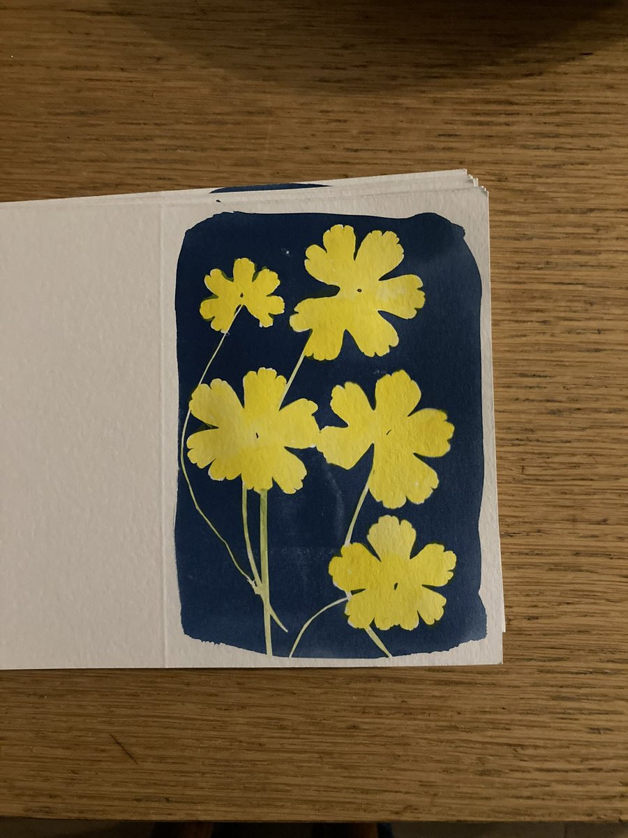 This is a greetings card I have just printed at home. It is a cyanotype, or sun print, of leaves of the doves-foot cranesbill, a common weed that grows in my garden. Coloured by hand with Japanese watercolour paint.