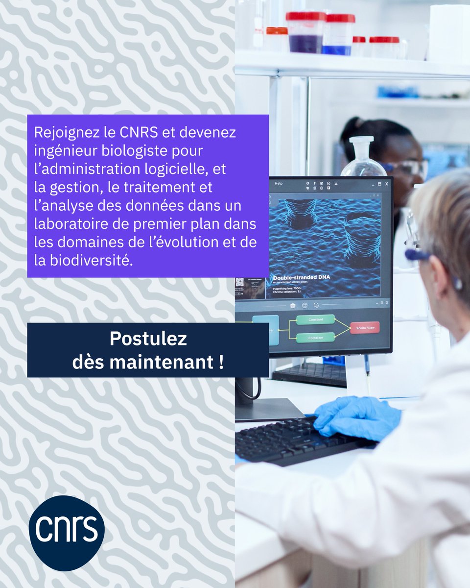 💼 Rejoignez le <a href="/CNRS/">CNRS 🌍</a> et devenez Ingénieur en bio-informatique au laboratoire Évolution, génomes, comportement et écologie (EGCE), une unité de premier plan dans les domaines de l’évolution et de la biodiversité.

▶ emploi.cnrs.fr/Offres/CDD/UMR…