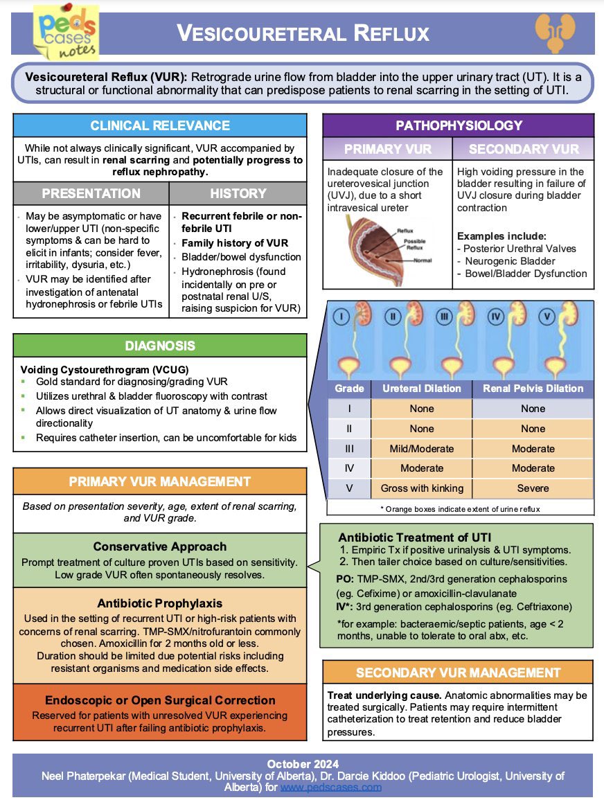 Summary of Vesicoureteral Reflux (VUR)

📖 By: <a href="/PedsCases/">PedsCases</a> 
#Pediatric #Urology #Nephrology