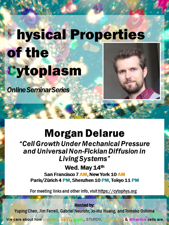 seedfeeder's tweet image. Come and join us for a Physical Properties of the Cytoplasm seminar by Dr. Morgan Delarue (LAAS - CNRS). For more info, visit cytophys.org