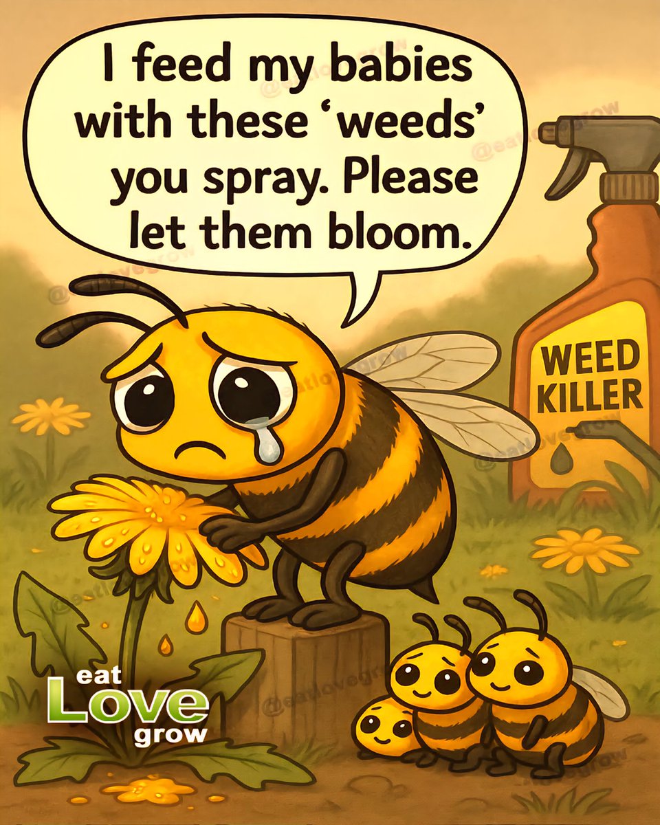 Save the bees. Leave dandelions alone! 🌼🐝