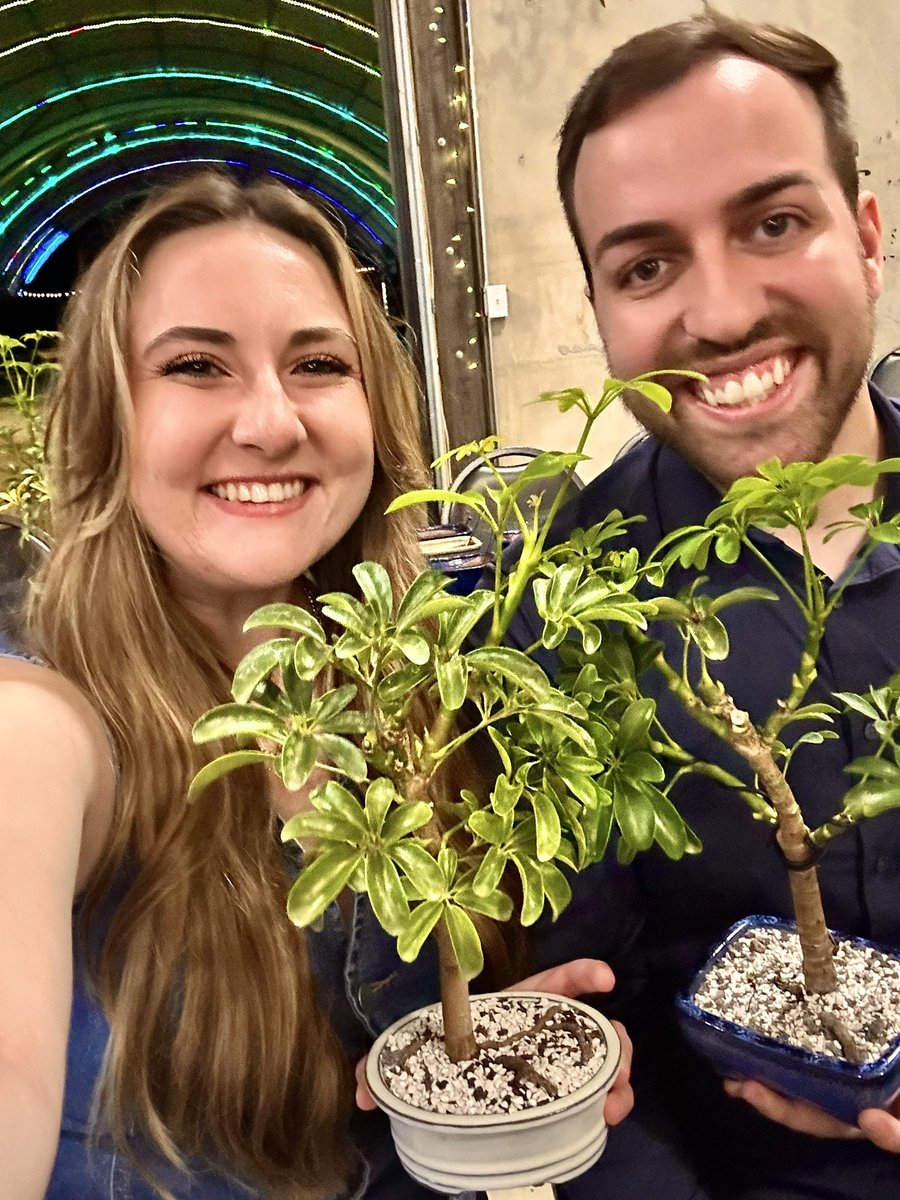 BonsaiBride's tweet image. Happy birthday (yesterday) to the love of my life! What a blessing it is to be your wife! 28 has never looked so good!! Also introducing the newest members of the bonsai fam: Bon Bon and Bonnie! @BonsaiBroz