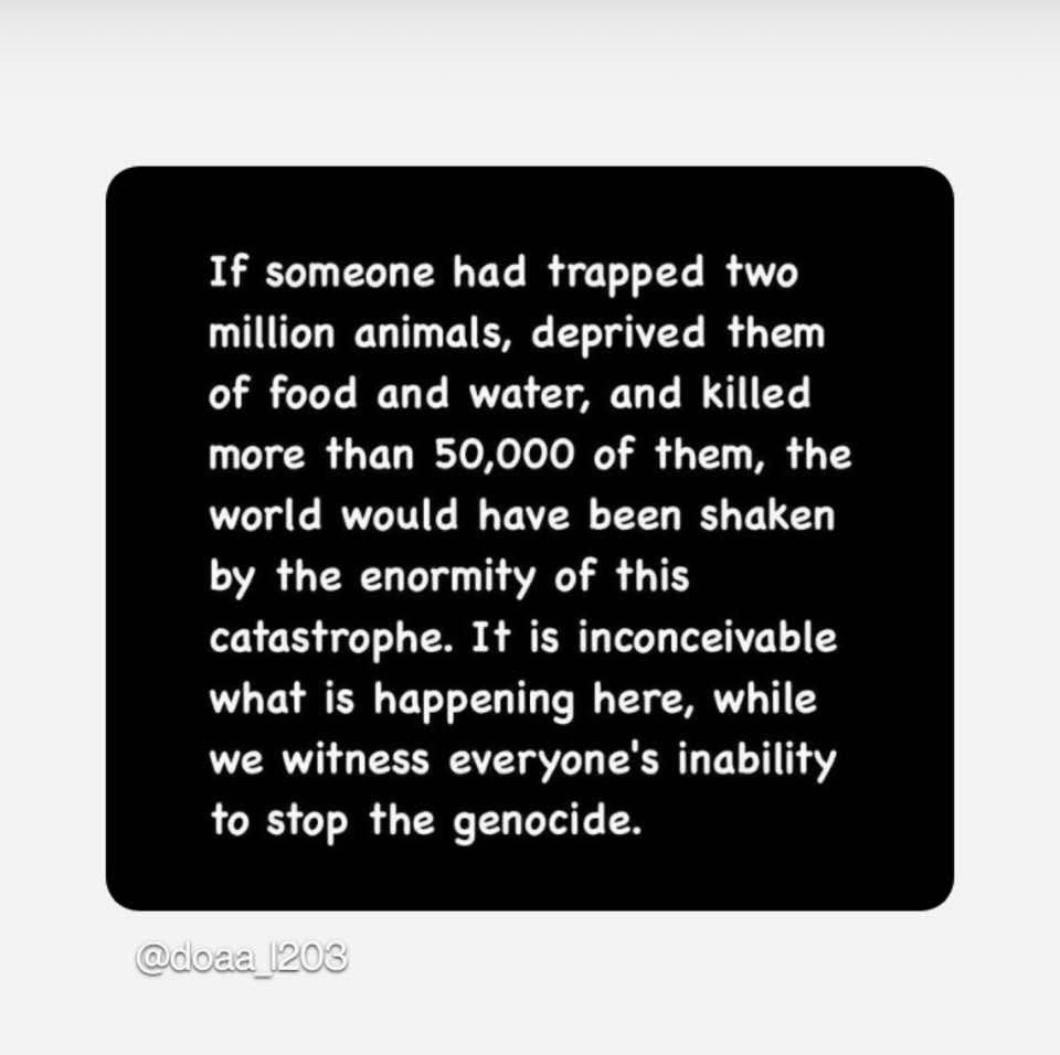 elaine rice (@elainemclrice) on Twitter photo 