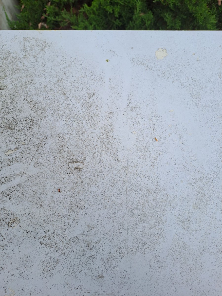 VertexRage's tweet image. Was outside recently. Took some pictures for references.

#TextureReference #ReferencePhotos #ReferenceImages