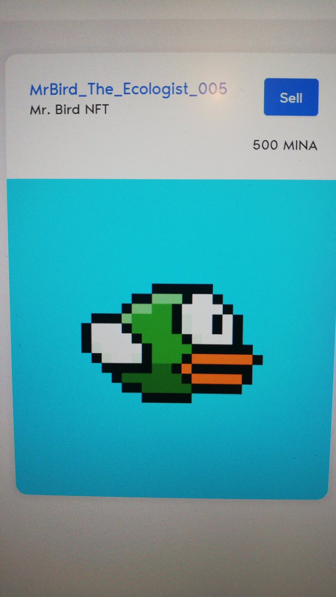 LX3V47's tweet photo. @MinaProtocol @VeridiseInc @dfst_io @minanft_io I bought this bird two days algo!! https://t.co/Lq8SrZKnNq